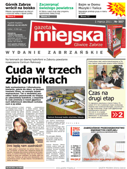 strona 1