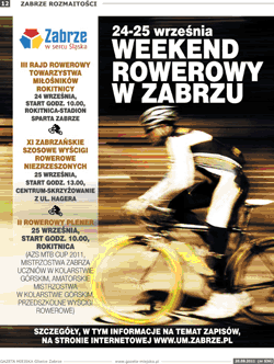 strona 12