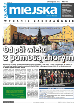 strona 1